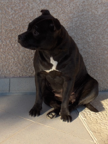 A big heart de l'Escane Crabe