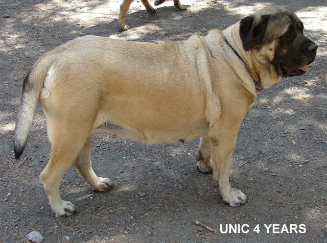 Unicolours de l'Escane Crabe